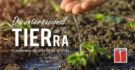 Colineal apuesta por la sostenibilidad y el medio ambiente