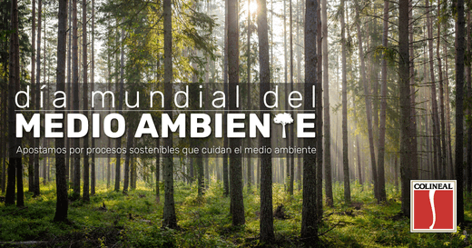 dia-medio-ambiente-portada