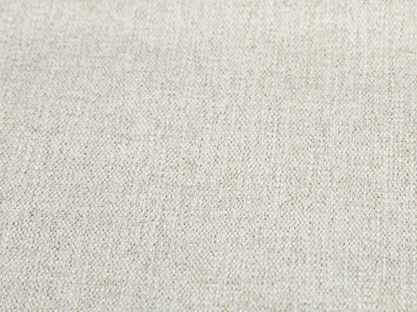 #Color_OldLace"T36113"