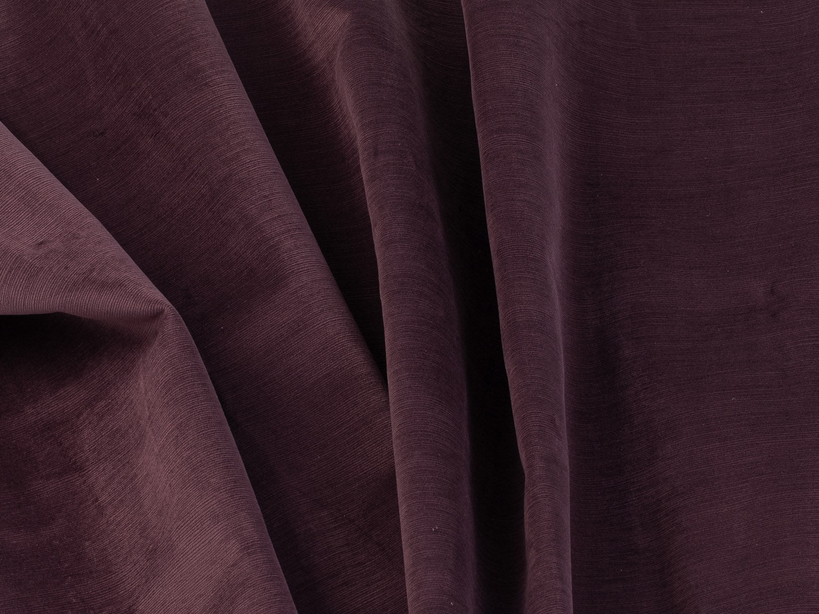 SILLON AUX DONUT 2022 #Color_Purple"T2658"